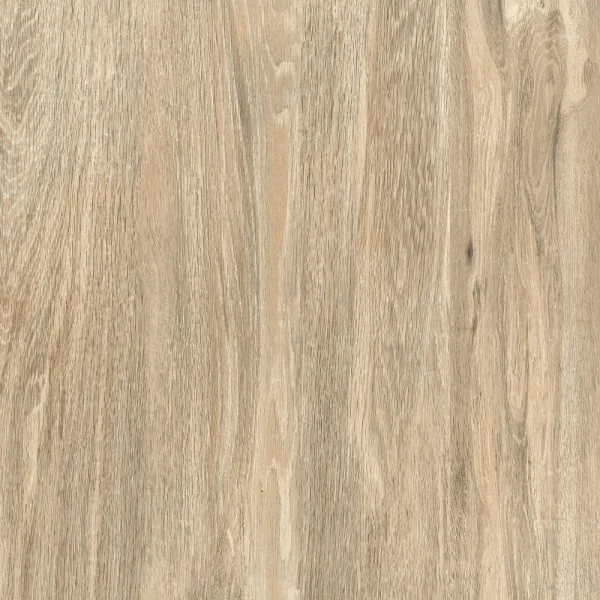 Piso Cerâmico Lef Essence Brilhante 57X57 A Bold