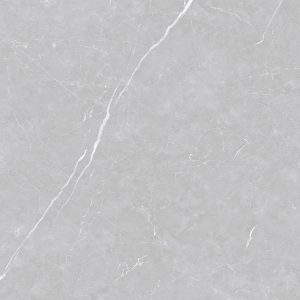 Piso Porcelanato Delta Valencia Argenta 120x120 Act A Retif