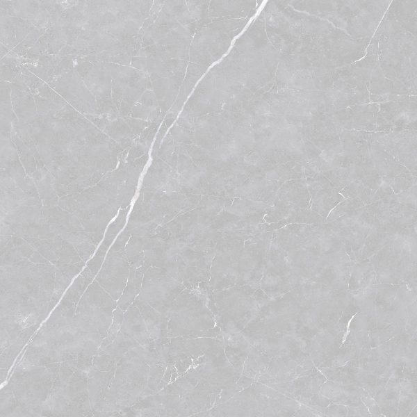 Piso Porcelanato Delta Valencia Argenta 120x120 Act A Retif